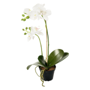 Orkidé Konstgjord Blomma Vit